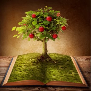 Apple tree knowledge